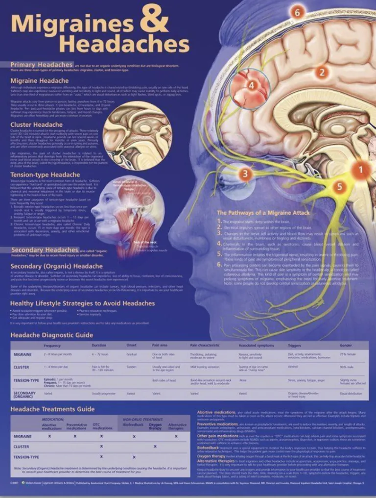 Primal chiropractic and fitness Blog's image