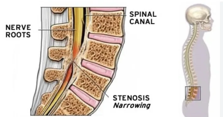 Primal chiropractic and fitness Blog's image