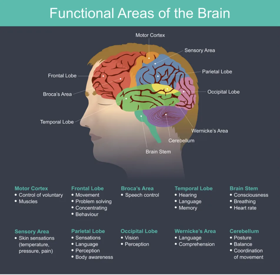 Primal chiropractic and fitness Blog's image