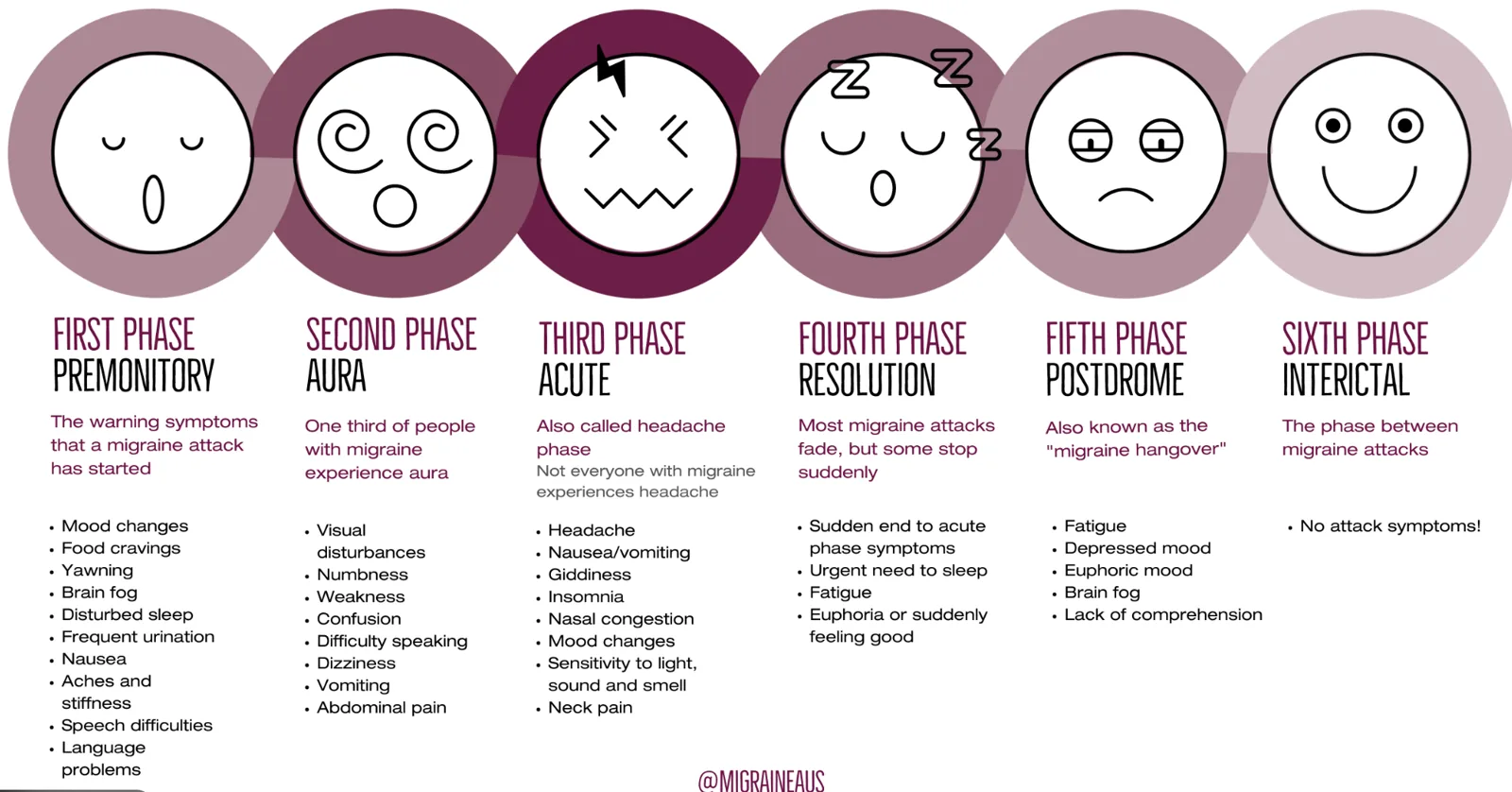 Primal chiropractic and fitness Blog's image