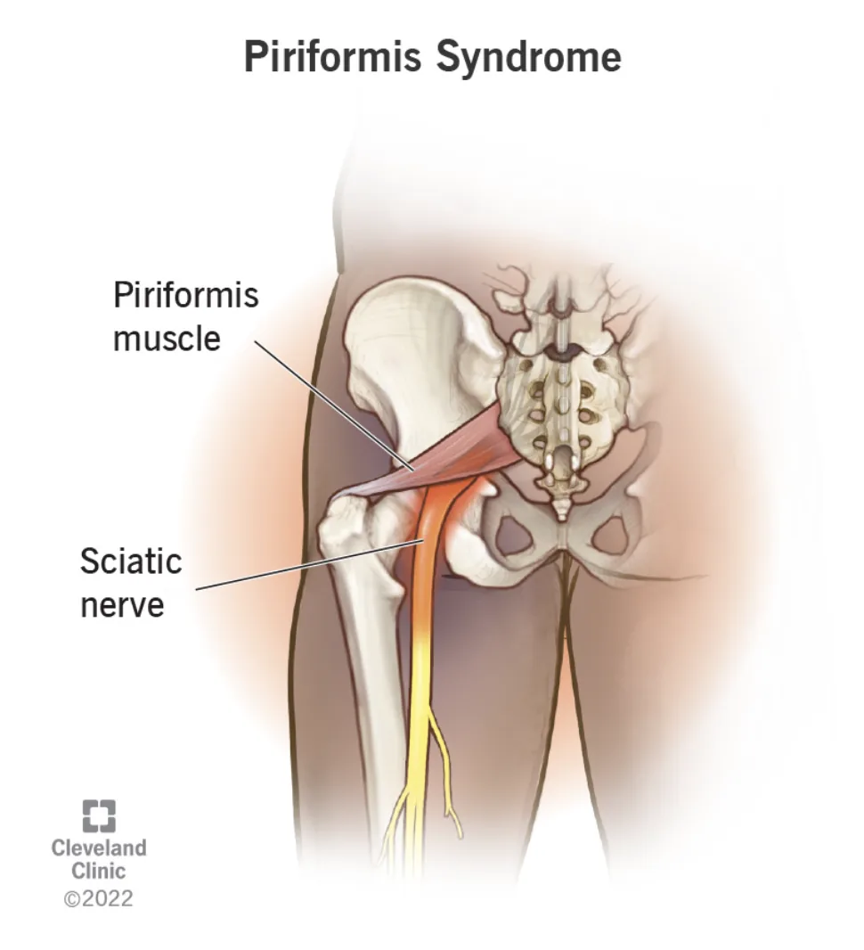 Primal chiropractic and fitness Blog's image