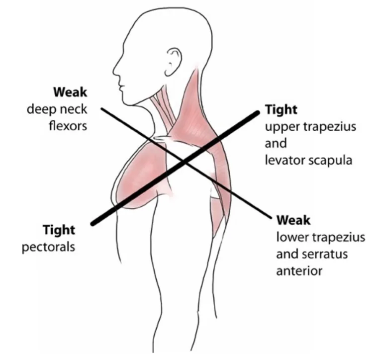 Primal chiropractic and fitness Blog's image