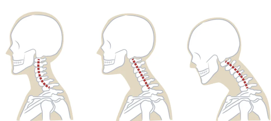 Primal chiropractic and fitness Blog's image