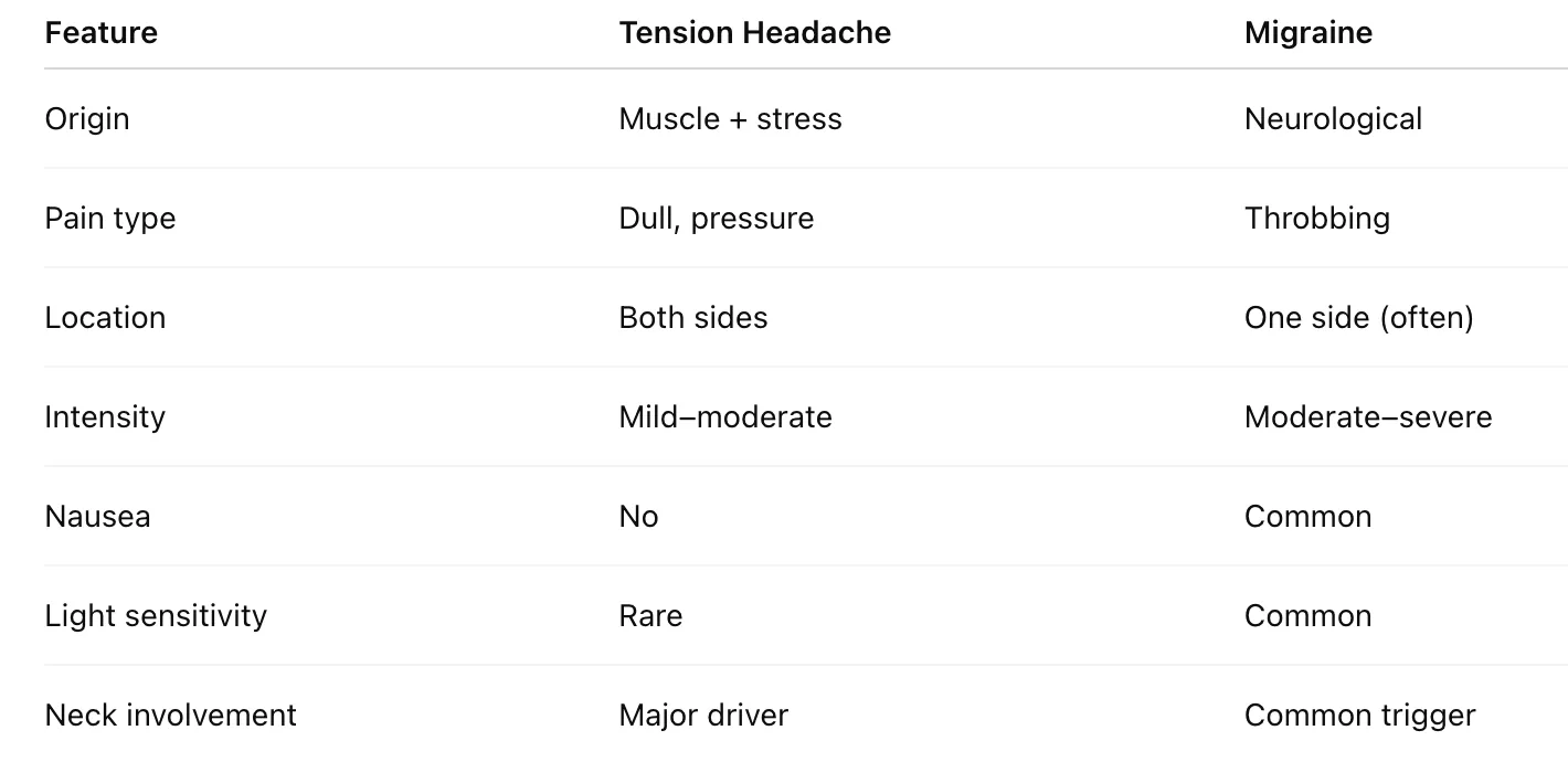 Primal chiropractic and fitness Blog's image