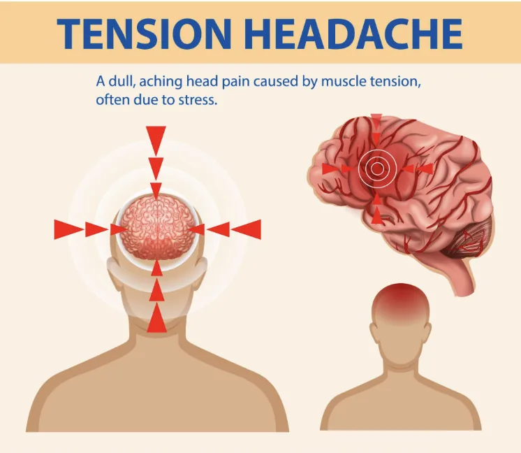 Primal chiropractic and fitness Blog's image