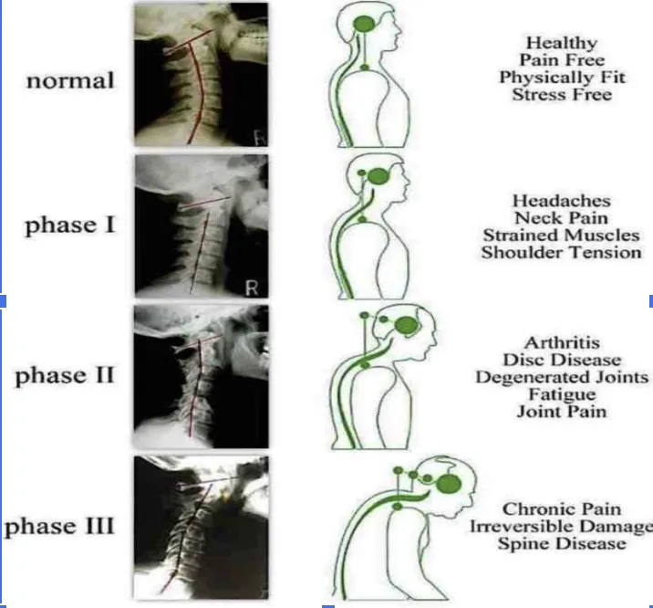 Primal chiropractic and fitness Blog's image