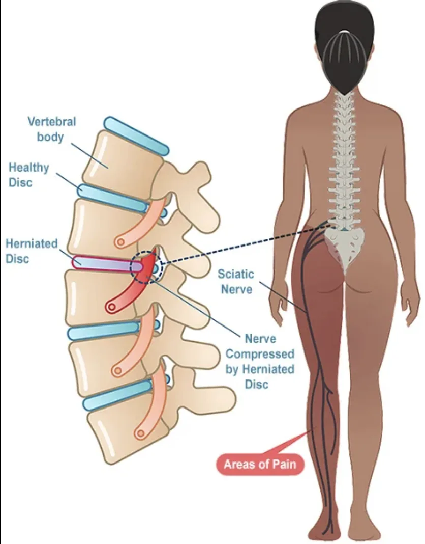 Primal chiropractic and fitness Blog's image