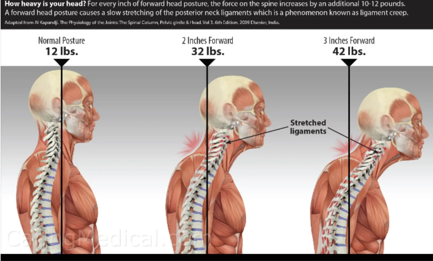 Primal chiropractic and fitness Blog's image